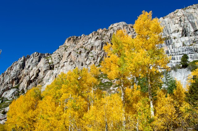 Sonora Pass in Tuolumne County